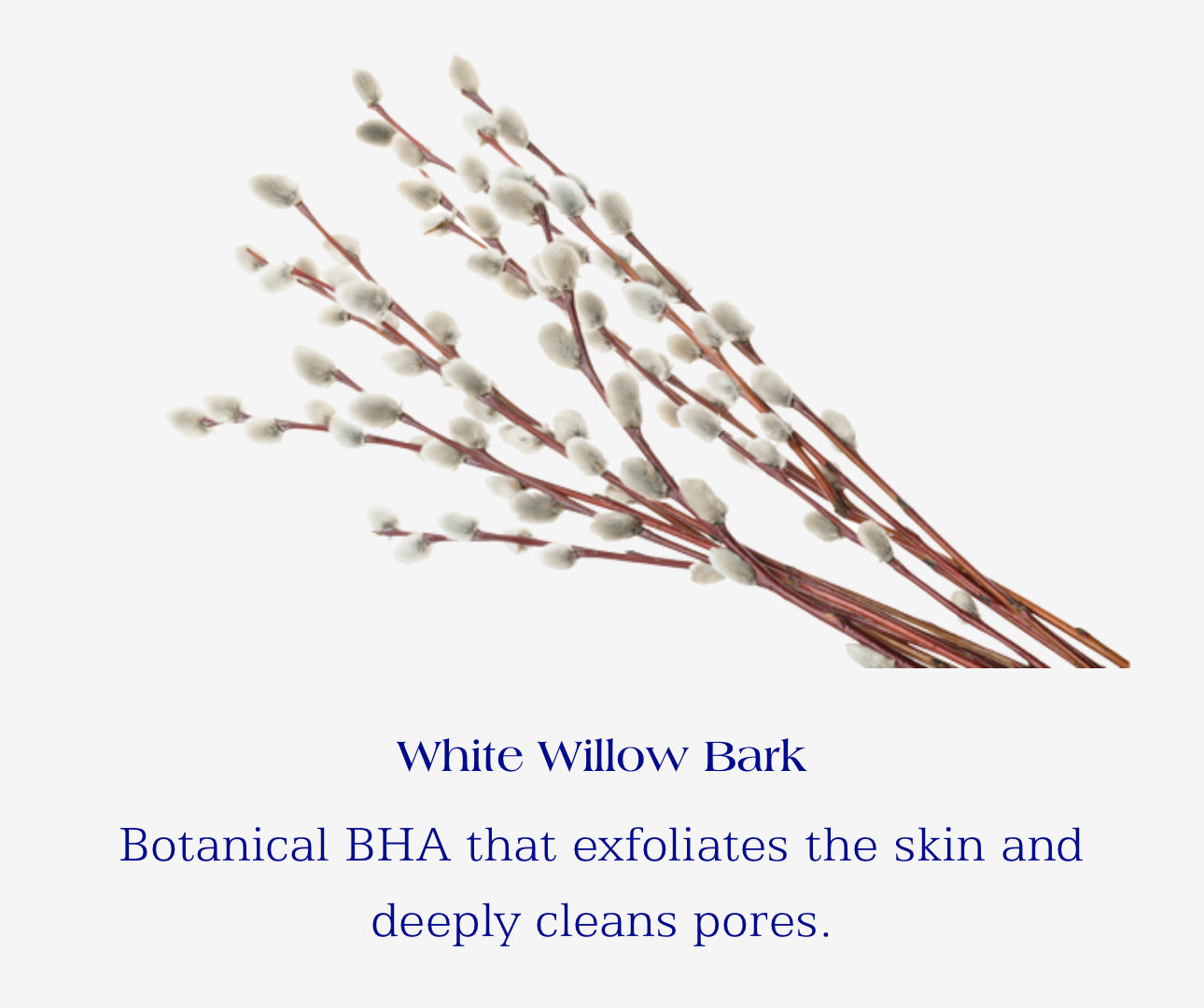 IS Clinical Body Complex(Body Lotion)