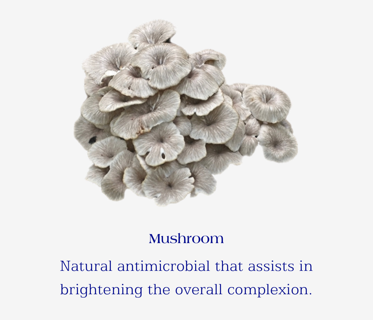 IS Clinical Brightening Complex