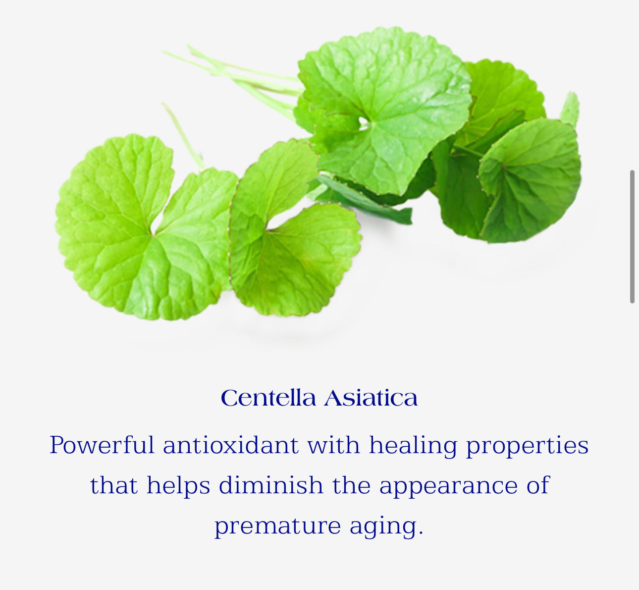 IS Clinical Hydra-Cool Serum