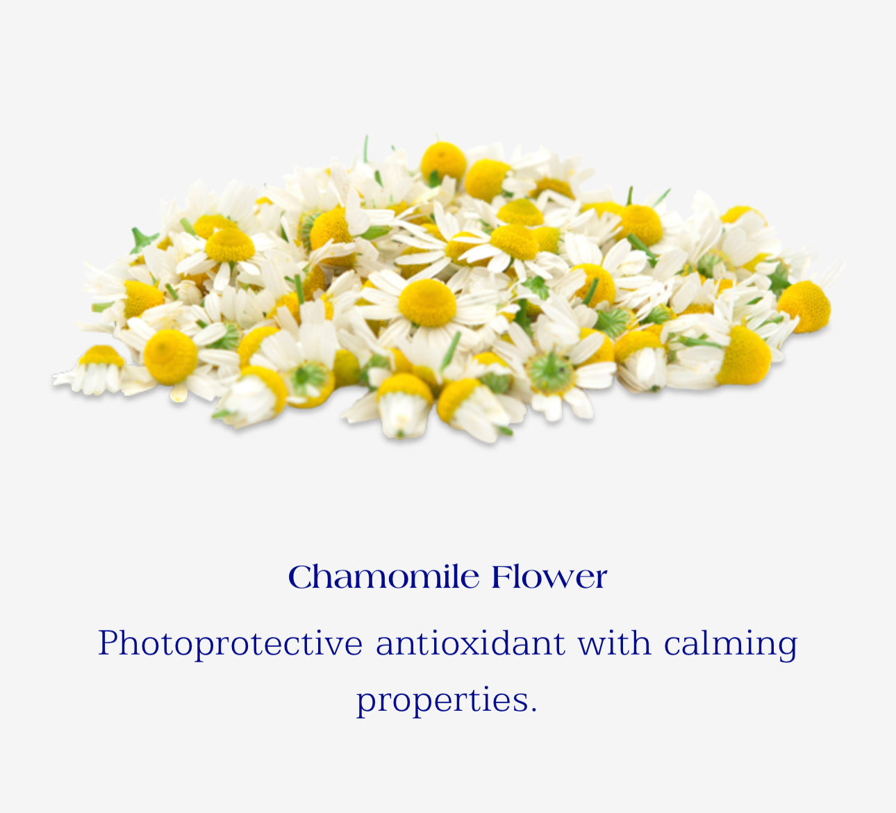 IS Clinical Cleansing Complex(Gentle Facial Cleanser)