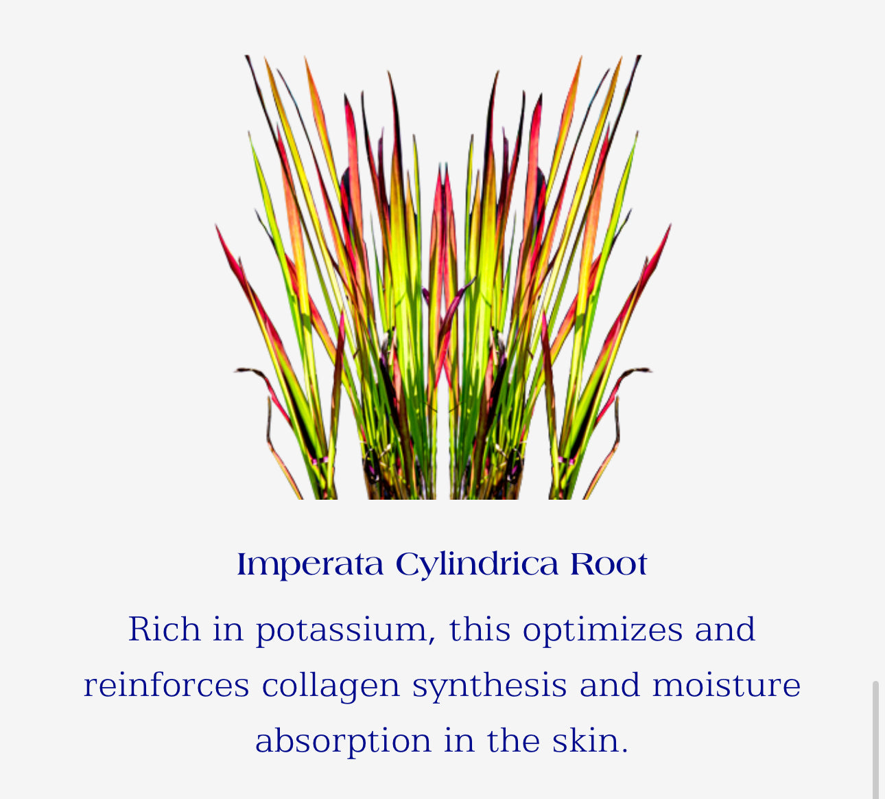 IS Clinical PerfectTint Powder SPF40