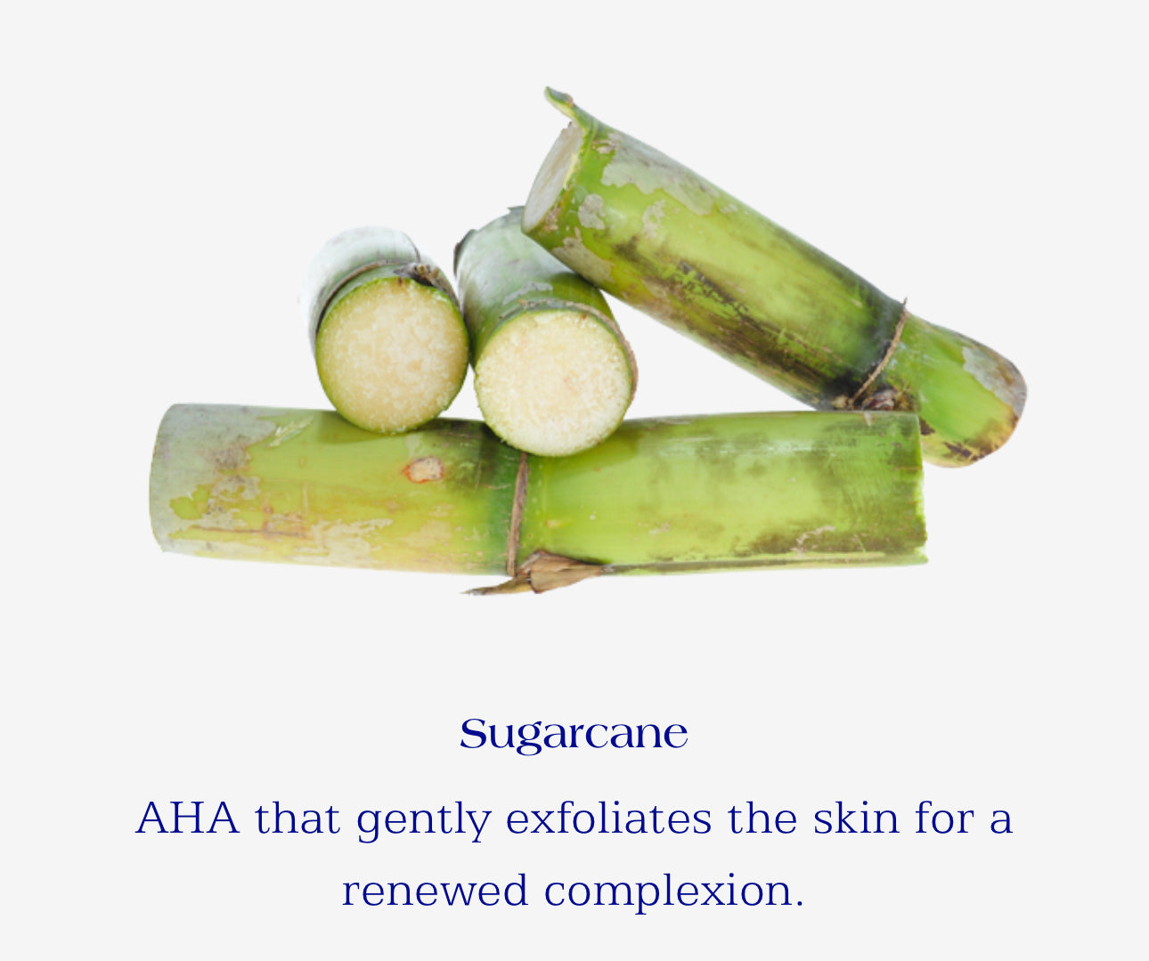 IS Clinical Cleansing Complex(Gentle Facial Cleanser)