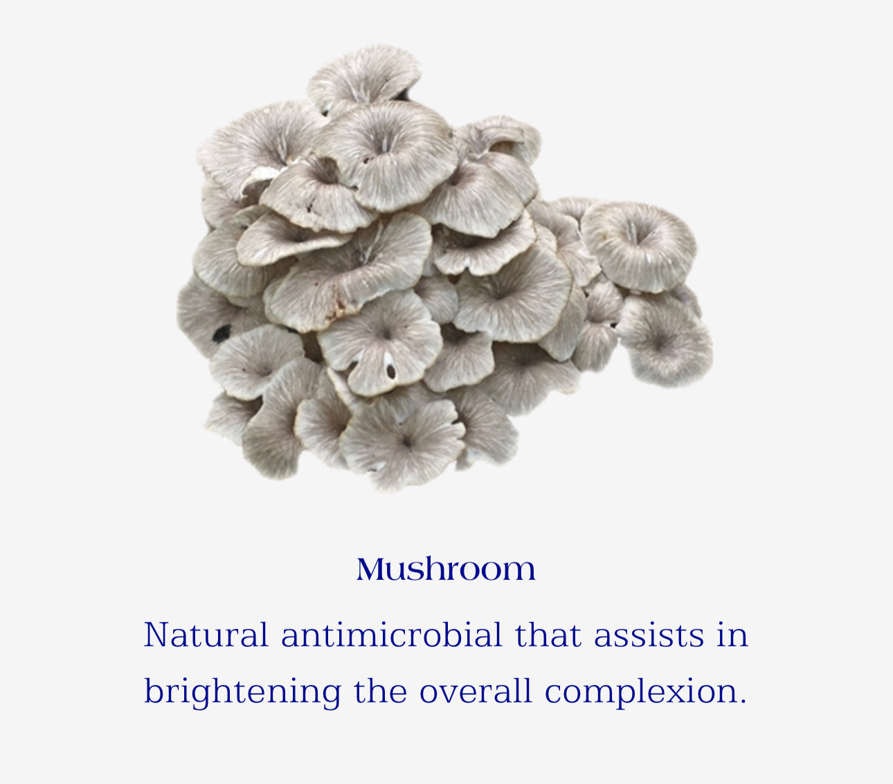 Active Serum