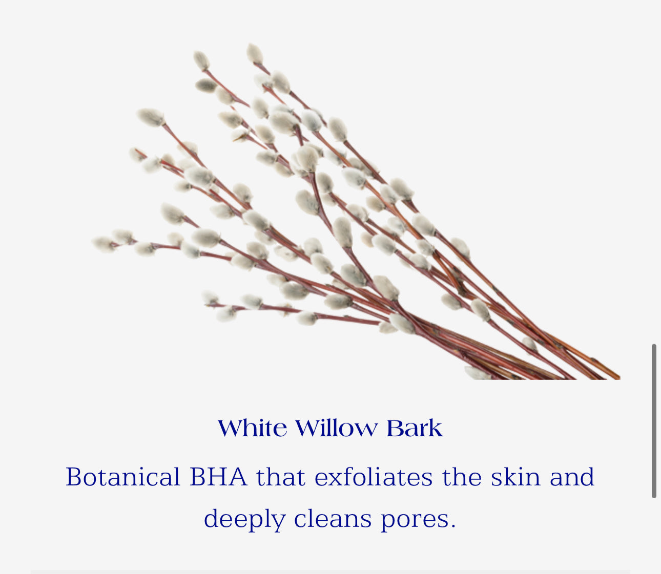 IS Clinical Cleansing Complex Polish